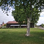 Paysage verdoyant avec des arbres et un bâtiment. Construction d'un groupe scolaire