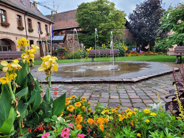 Fontaine dans une cour de la commune de Bergheim, entourée de fleurs et d'un bâtiment pittoresque.