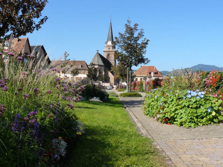 Ciel bleu clair sur la commune de Bergheim et végétalisation des espaces publics au premier plan