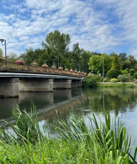 Vue du pont traversant l'Ill depuis les berges aménagées.